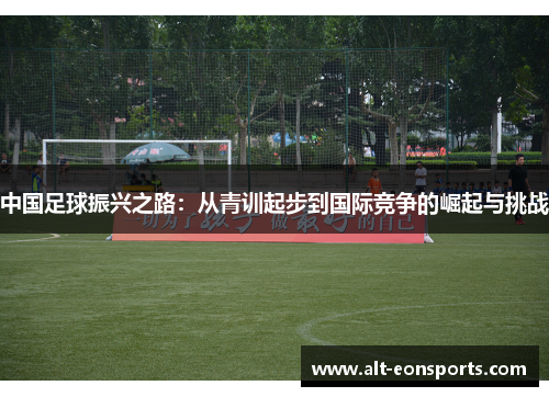 中国足球振兴之路：从青训起步到国际竞争的崛起与挑战