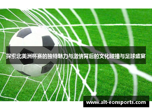 探索北美洲杯赛的独特魅力与激情背后的文化碰撞与足球盛宴